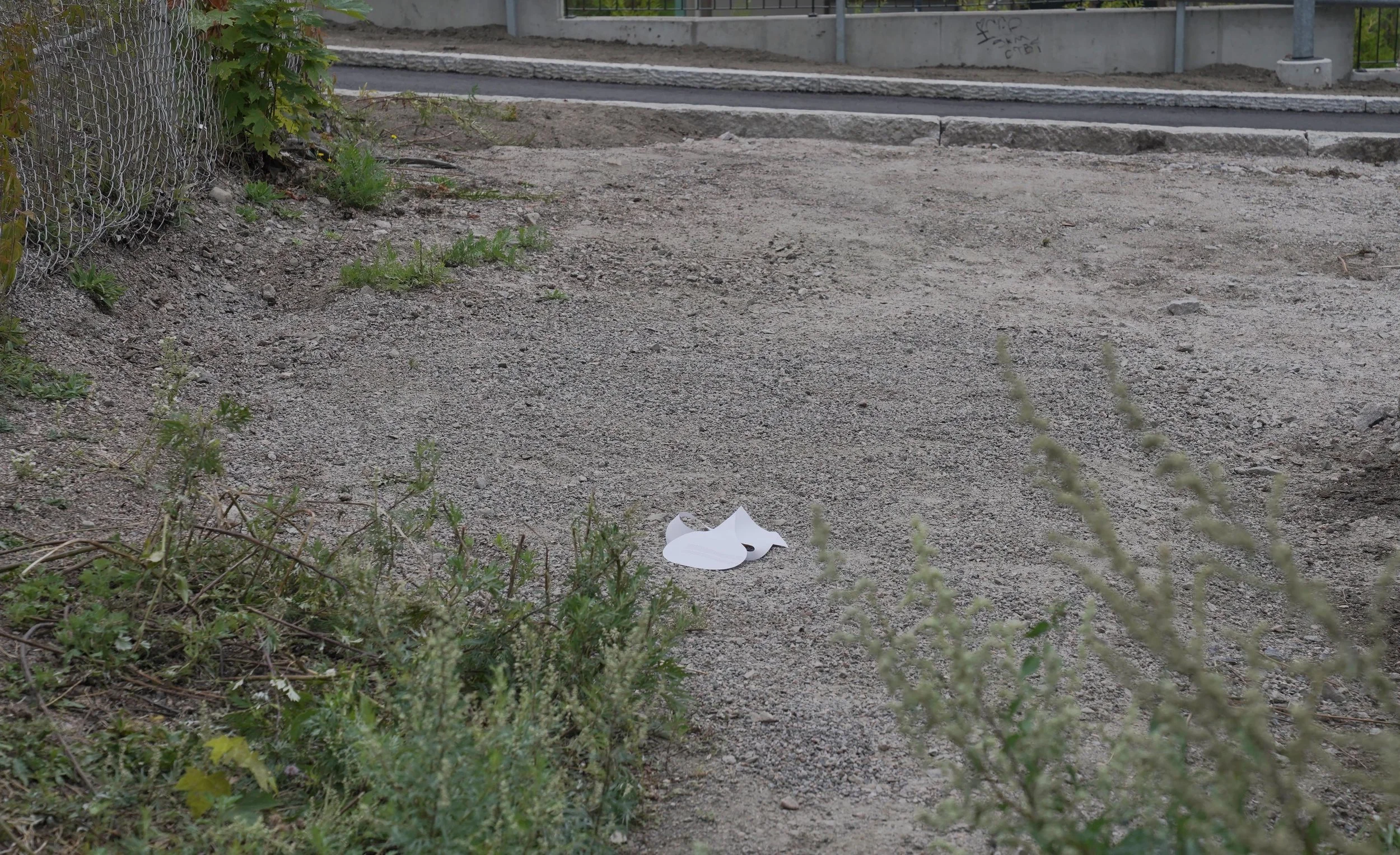 puddle-1